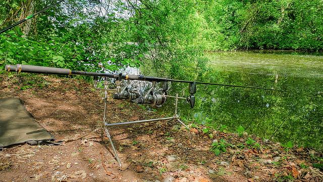 Solar - 3577295872cf39bb64a8z.jpg